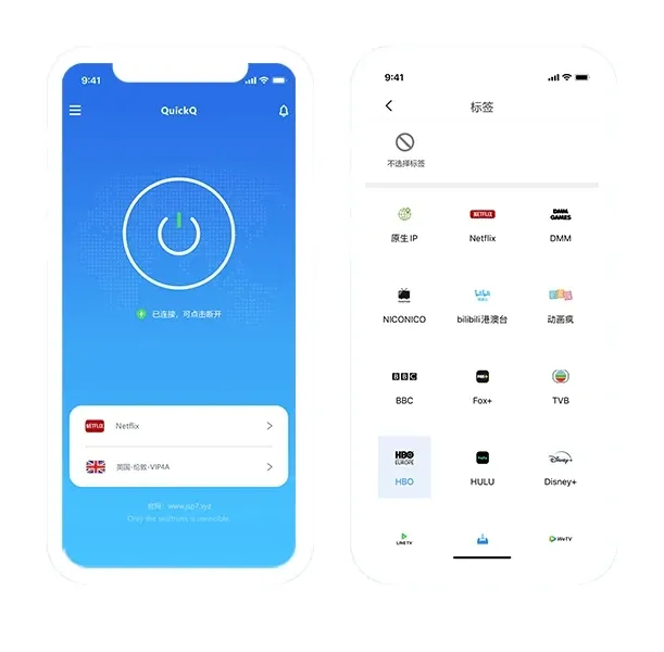 QuickQ安全网络连接协议配置与驱动安装界面